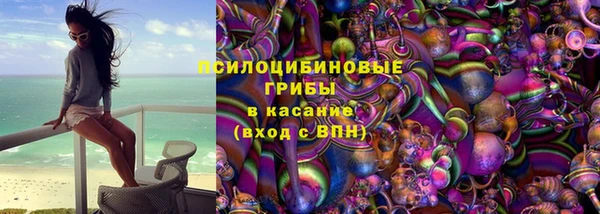 apvp Армянск